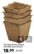 Leroy Merlin Natcare 6cm Set Of 6 Square Natural Pots offer