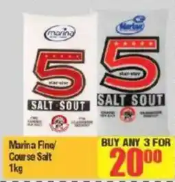 Big Save Marina Fine/ Course Salt offer