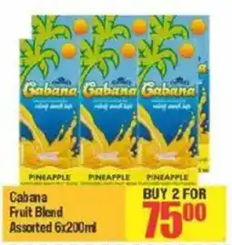 Big Save Cabana Fruit Blend Assorted offer