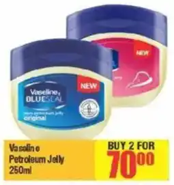 Big Save Vaseline Petroleum Jelly offer
