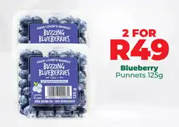 Food Lover's Market Blueberry Punnets offer