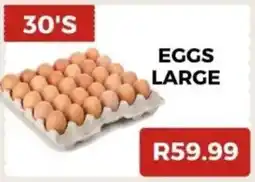 Saverite Eggs large offer
