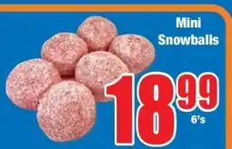 Boxer Mini Snowballs offer