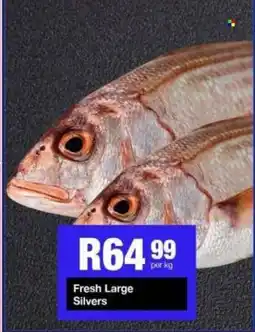 Take 'n Pay Fresh Large Silvers offer