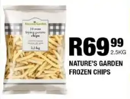 Take 'n Pay Nature's garden frozen chips offer