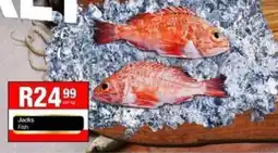 Take 'n Pay Jacks Fish offer