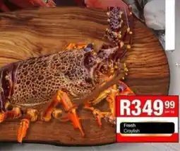 Take 'n Pay Fresh Crayfish offer