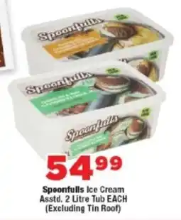 OK Foods Spoonfulls Ice Cream Asstd. Tub offer