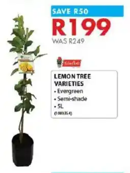 Chamberlain Lemon tree varieties offer