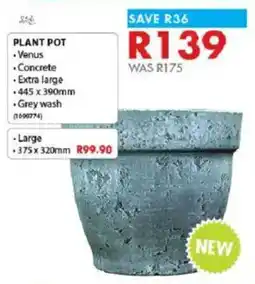 Chamberlain Plant pot offer