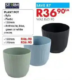 Chamberlain Plant pot offer
