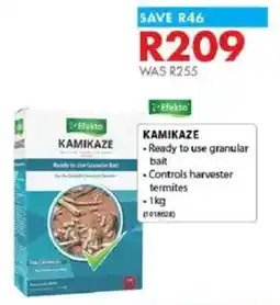 Chamberlain Efekto kamikaze offer