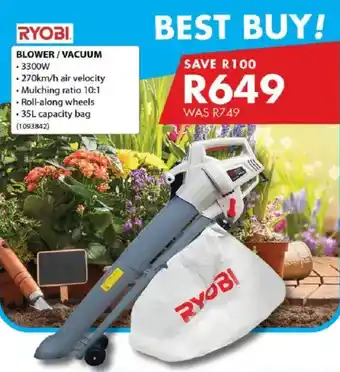 Chamberlain RYOBI Blower/ Vacuum offer