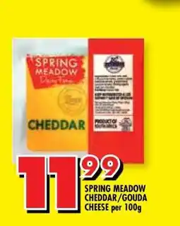 Shoprite SPRING MEADOW CHEDDAR/GOUDA CHEESE per 100g offer