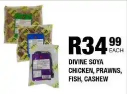 Take 'n Pay Divine soya chicken, prawns, fish, cashew offer