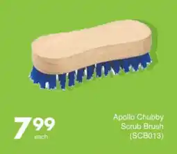 Save Apollo Chubby Scrub Brush offer