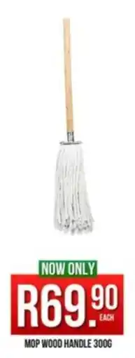 West Pack Lifestyle Mop wood handle offer