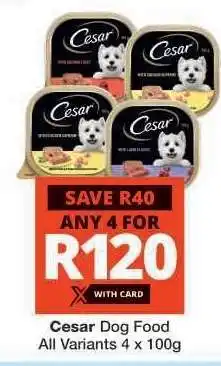Checkers Cesar Dog Food offer