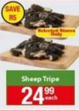 Sheep Tripe