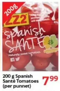 Oxford Freshmarket Spanish Santé Tomatoes offer
