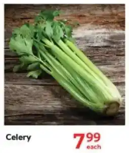 Oxford Freshmarket Celery offer
