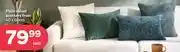PEP Plain Velvet Scatters 40 x 60cm-Each offer
