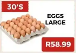 Saverite Eggs large offer