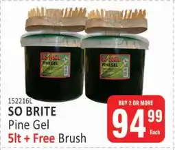 KitKat Cash and Carry SO BRITE Pine Gel offer