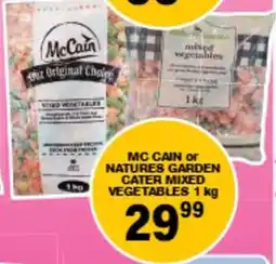 Giant Hyper Mc cain or natures garden cater mixed vegetables offer