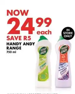 Woolworths Handy Andy Range offer