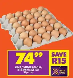 Shoprite NULAID/FARMYARD/TOPLAY/RITEBRAND LARGE EGGS offer