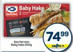 Pick n Pay SEA HARVEST BABY HAKE 800g offer