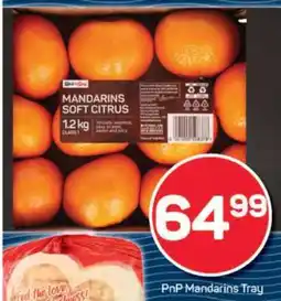 Pick n Pay PnP Mandarins Tray offer