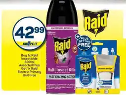 Pick n Pay Raid Insecticide 300ml Assorted offer