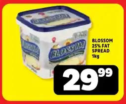 Usave Blossom 25% fat spread offer