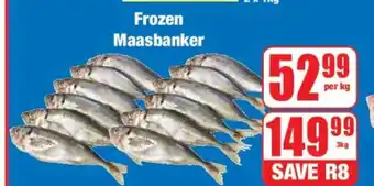 Boxer Frozen Maasbanker offer