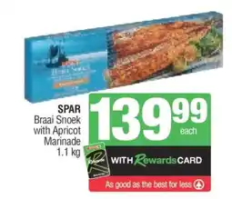 Spar SPAR Braai Snoek with Apricot Marinade 1.1 kg offer