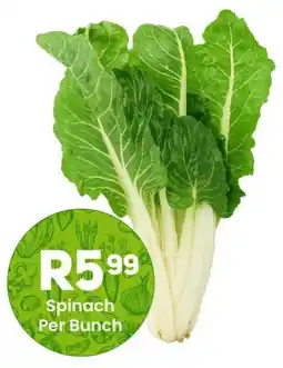 Take 'n Pay Spinach offer