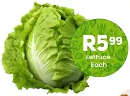 Take 'n Pay Lettuce offer