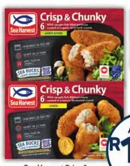 Pick n Pay Hypermarket Sea Harvest Crisp & Chunky Crumbed Hake Fillets Assorted offer
