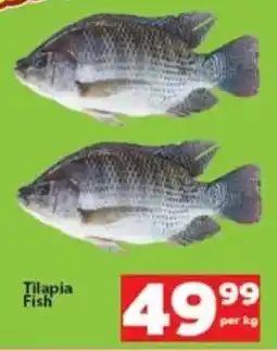 Check Save Tilapia Fish offer
