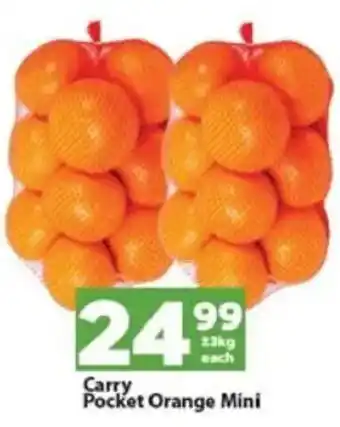 Check Save Carry Pocket Orange Mini offer
