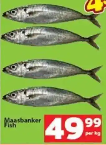 Check Save Maasbanker Fish offer