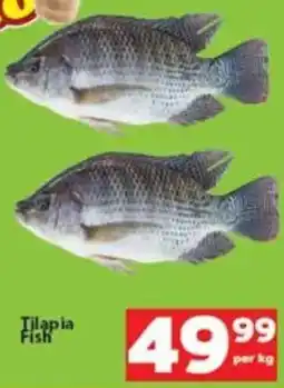 Check Save Tilapia Fish offer