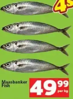 Check Save Maasbanker Fish offer