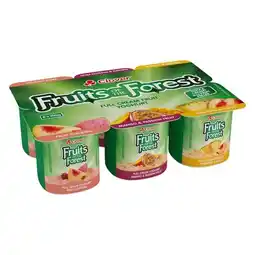 Pick n Pay Liquor Clover Fruits Of The Forest Full Cream Fruit Yoghurt 6 Pack offer