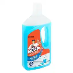 Pick n Pay Liquor Mr Muscle Mountain Fresh Tile Cleaner 750ml offer