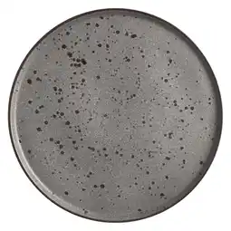 Pick n Pay Liquor DAY Terra Grey Dinner Plate 26.5cm offer