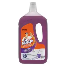 Pick n Pay Liquor Mr Muscle Lavender Fields Tile Cleaner 750ml offer