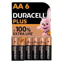Pick n Pay Liquor Duracell Plus AA Batteries 6 Pack offer